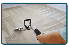 Best Carpet Cleaners